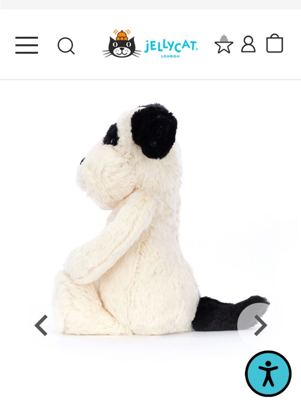 Bashful Black & Cream
Puppy - Picture 2 of 6